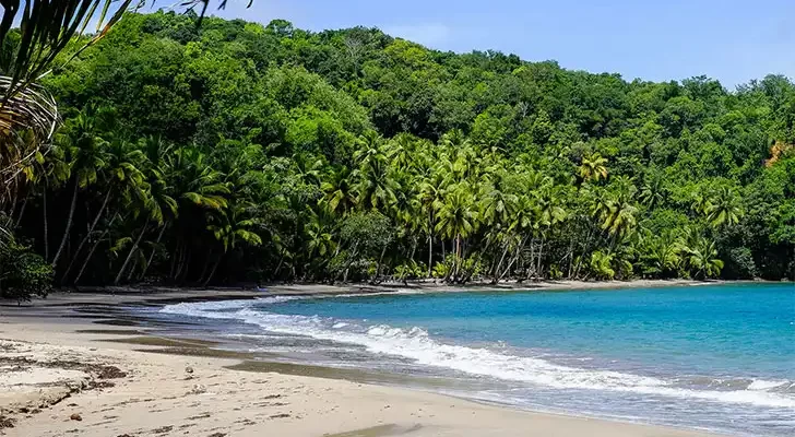 Острів Домініка – куточок незайманої природи