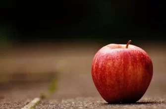 Яблучна дієта