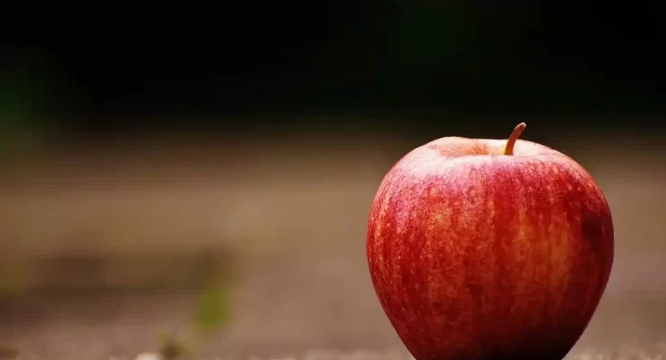 Яблучна дієта