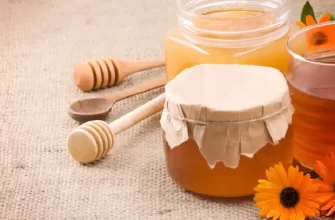 Як зберігати мед?