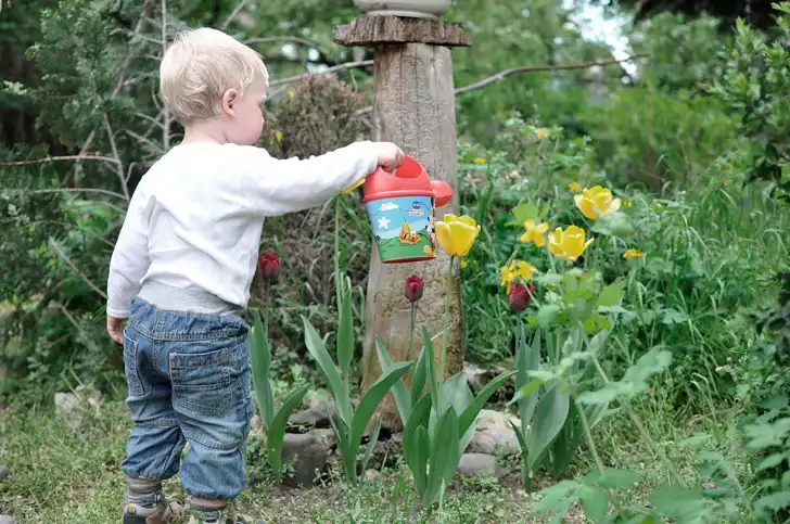 Малюк поливає квіти